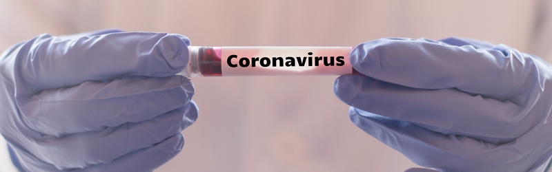 Infos Corona Pferdesport Foto iStock Pornpak Khunatorn